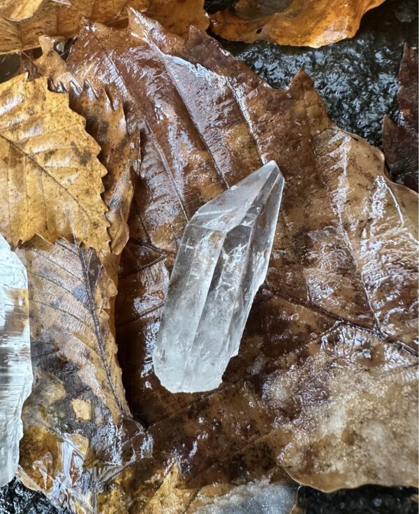 レモン彗星UFOの啓示<br>レムリアの水晶【ニューアース】＆自動書記アートセット